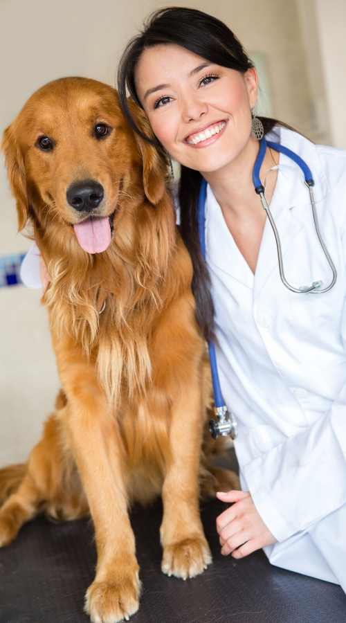 Pet Shop Clínica Veterinária